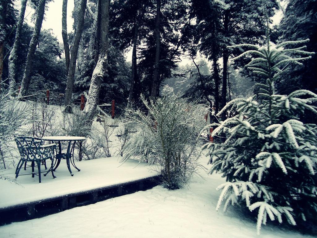 Hosteria Patagon Villa La Angostura Kültér fotó